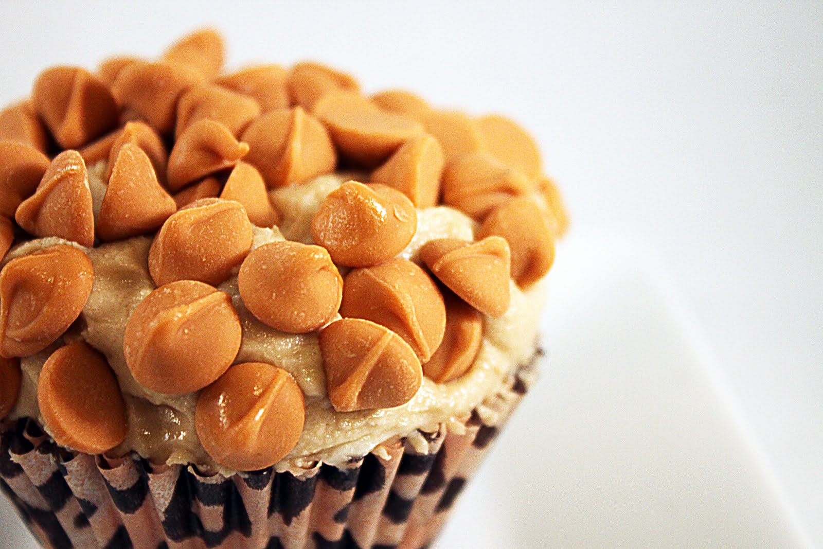 Butterscotch Chip Cupcake With Pecans